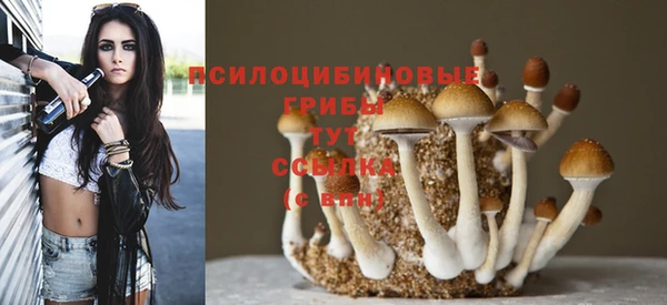каннабис Беломорск