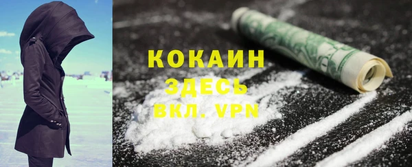 соль ск Белокуриха