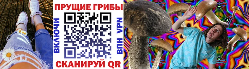 Псилоцибиновые грибы мухоморы  Каменск-Уральский 